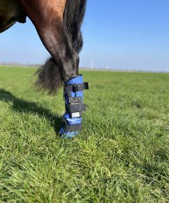 SWIT Horse Ankle Boots