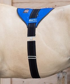 SWIT+ Horse Balance Belt