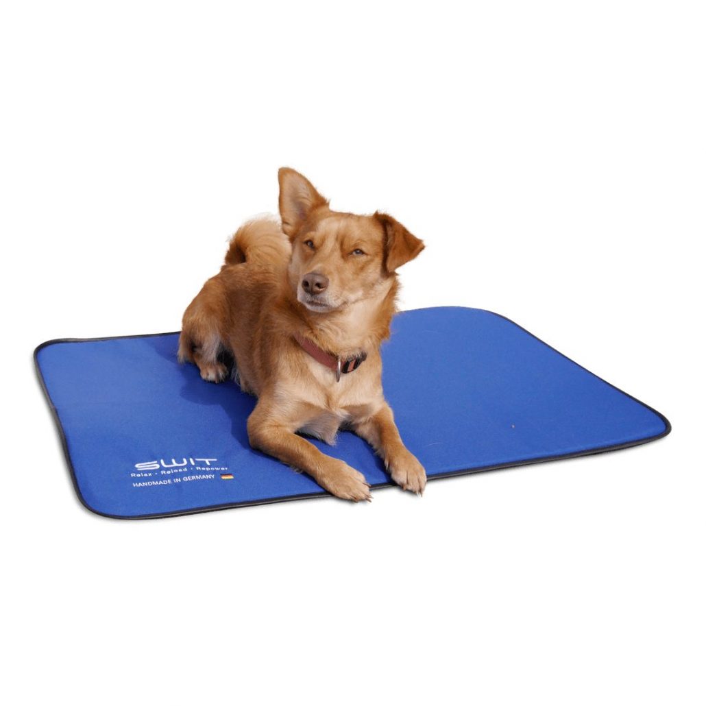 SWIT+ Optimal Neurobalance Solutions - Dog on Swit Blanket