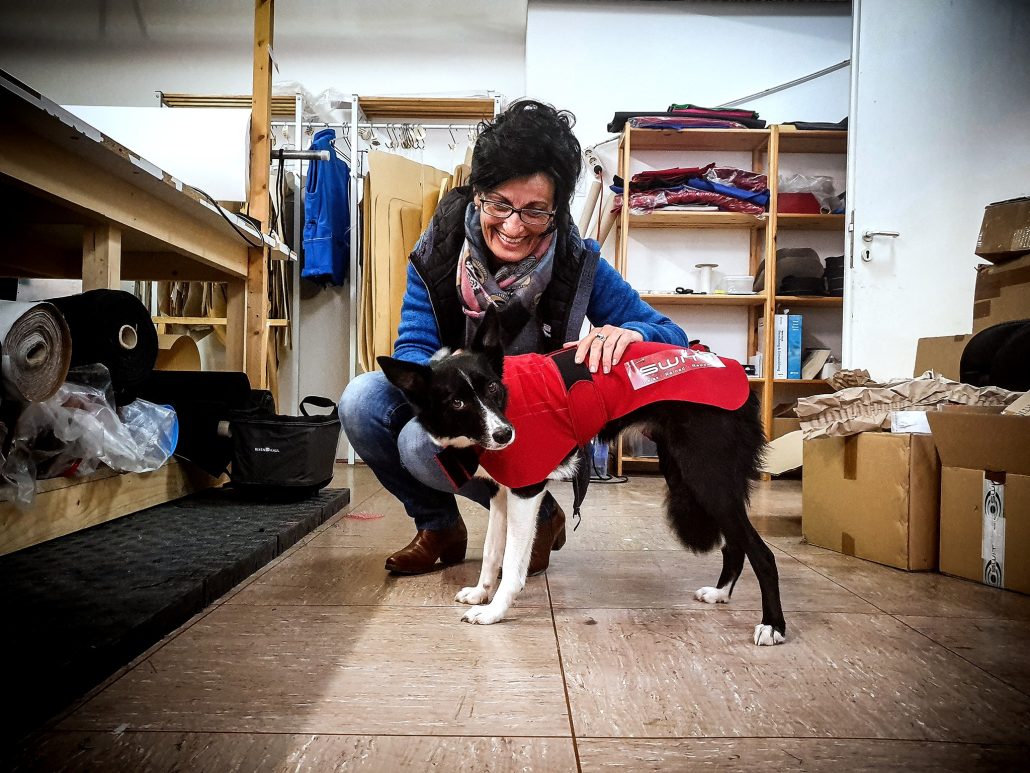 SWIT+ Neurobalance Systems on dog