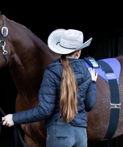 SWIT+ Horse Balance Belt